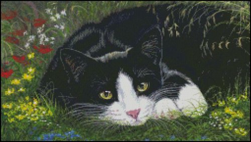 (image for) My Secret Garden